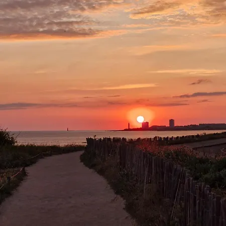 فيلة Neuve Confort Shabby Chic